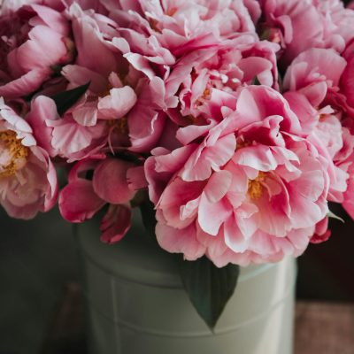 Photo by <a href="https://unsplash.com/@alisaanton" rel="nofollow">Alisa Anton</a> on <a href="https://unsplash.com/?utm_source=hostinger&utm_medium=referral" rel="nofollow">Unsplash</a> 